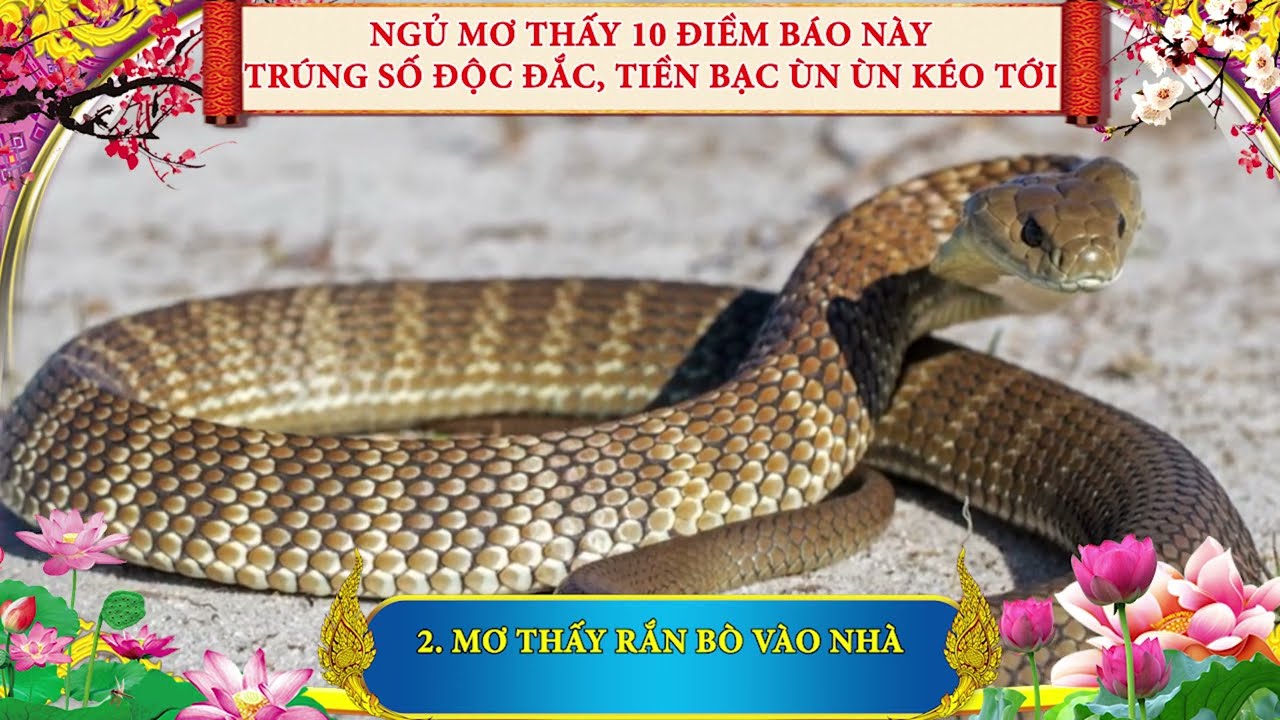 Nằm Mơ Thấy Mình Chết Ý nghĩa và Giải thích